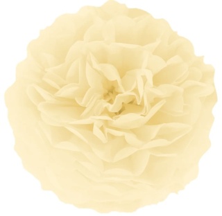 PartyPal Pompon bibułowy kremowy 35 cm