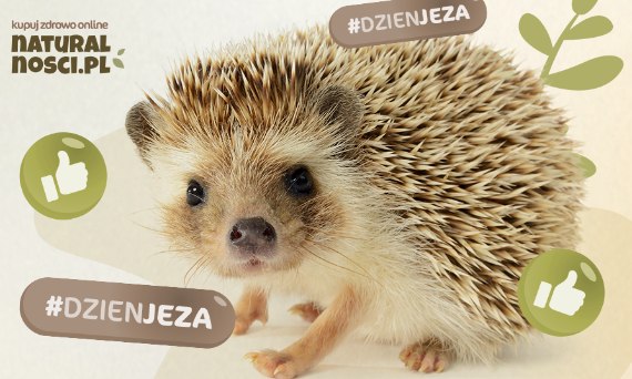 Regulamin akcji Dzień JEŻA